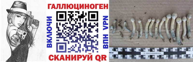 Галлюциногенные грибы мухоморы  Купить закладки  Хадыженск 